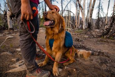 Ruffwear Front Range Day Pack Blue Moon Gr. S